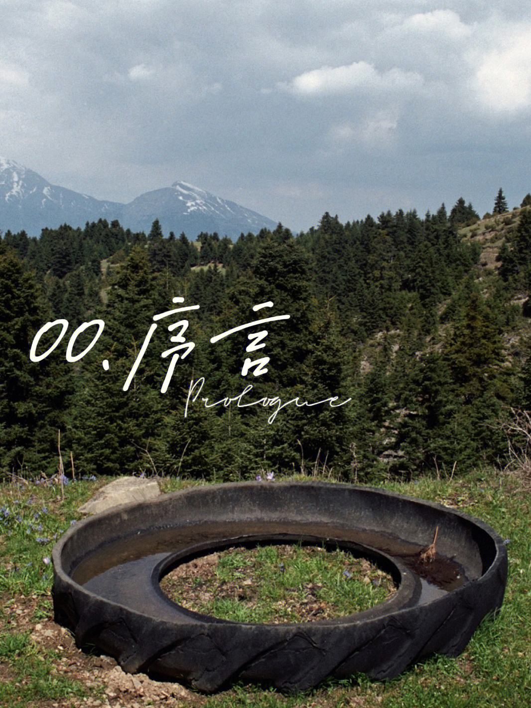 葡萄牙盼星充满能量，青春悍将令人期待