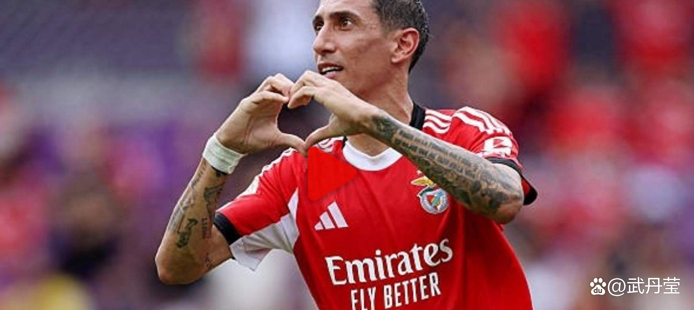 本菲卡遭遇波折,下轮有望涅槃重生!的简单介绍 本菲卡遭遇波折,下轮有望涅槃重生!的简单介绍