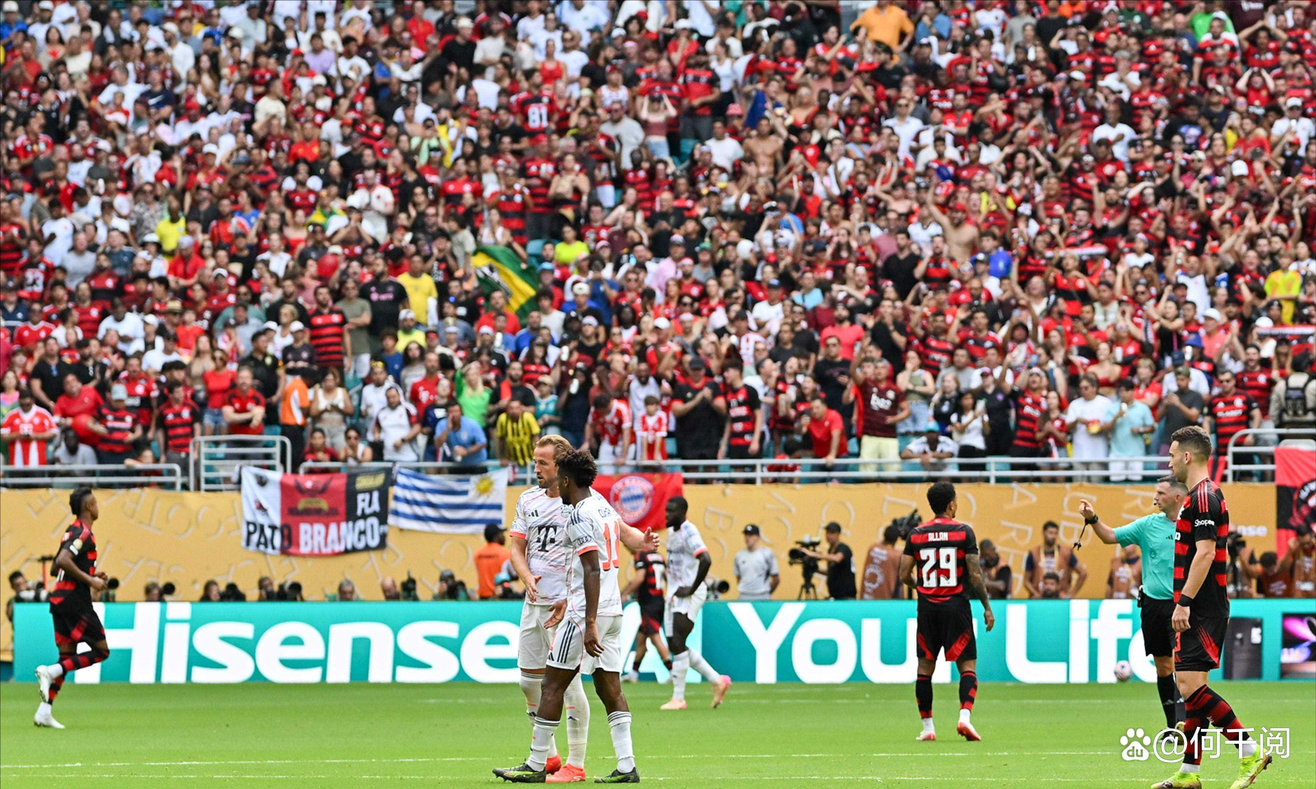 拜仁青年主场横扫对手,完美收官 拜仁青年主场横扫对手,完美收官