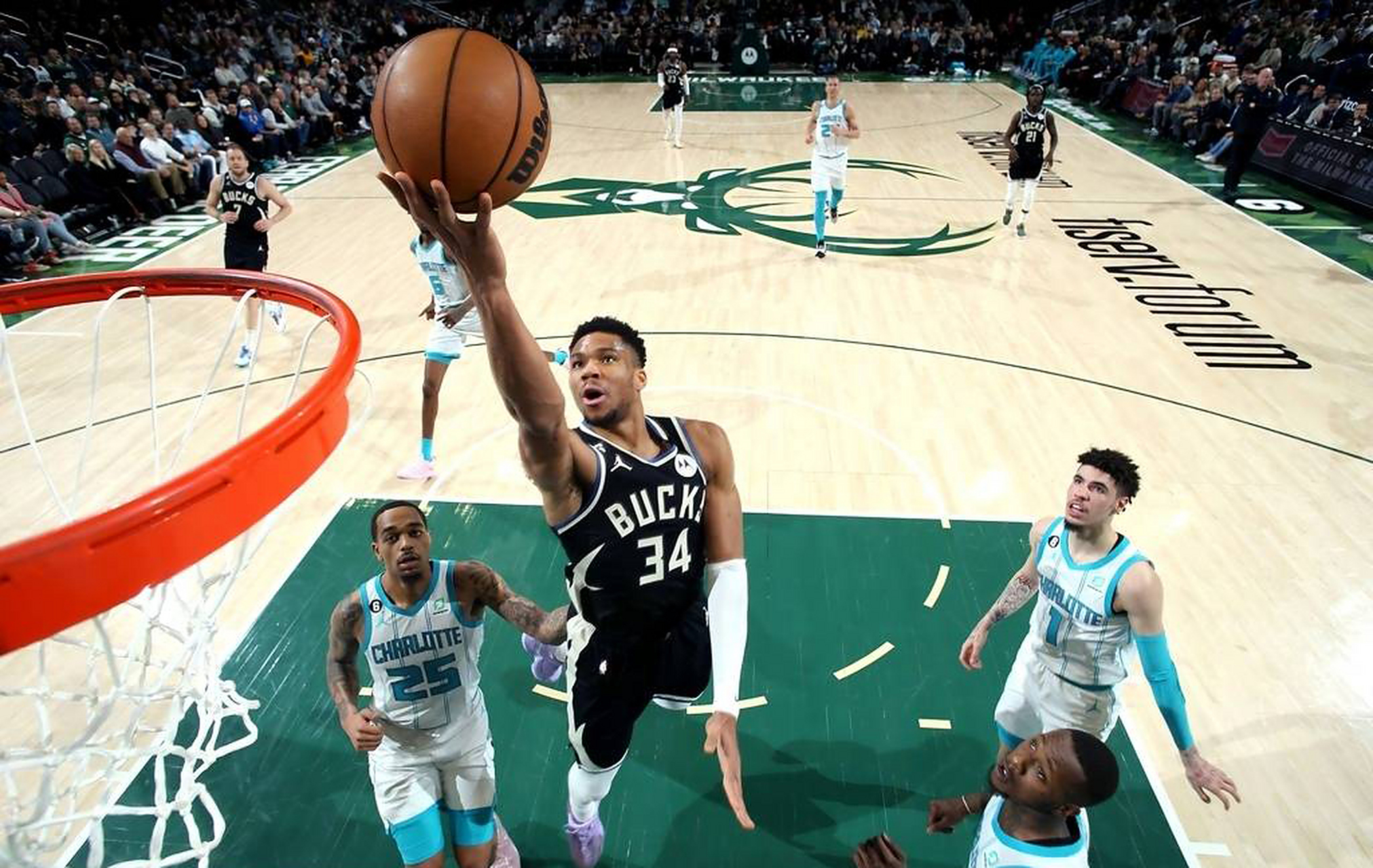 黄蜂主场击败雄鹿晋级